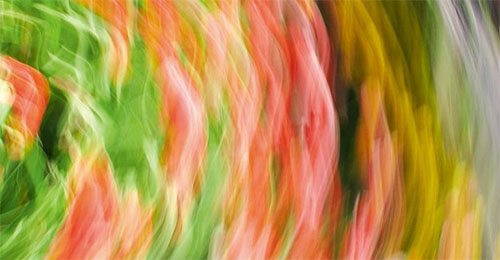 元明粉與鹽的區(qū)別