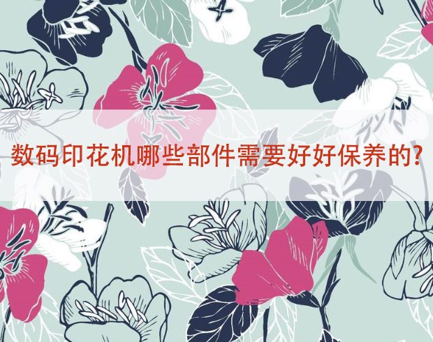 數(shù)碼印花機(jī)需要保養(yǎng)的部件