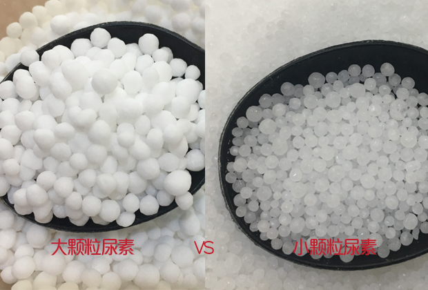 大顆粒和小顆粒尿素哪個(gè)好