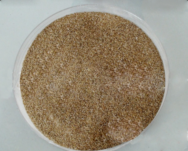 海藻酸鈉不攪拌會(huì)溶解嗎